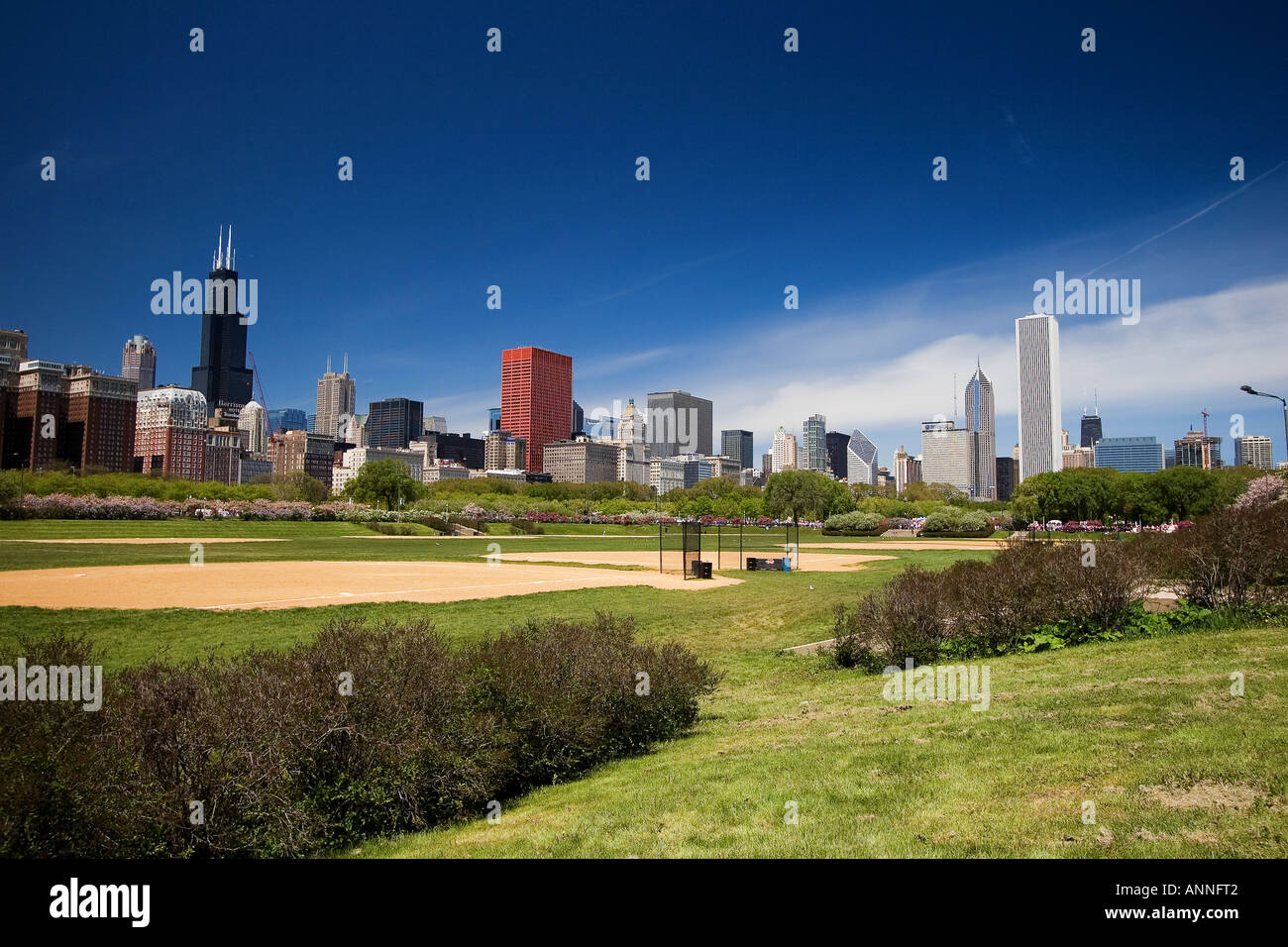 Chicago Skyline including Grant park Stock Photo - Alamy