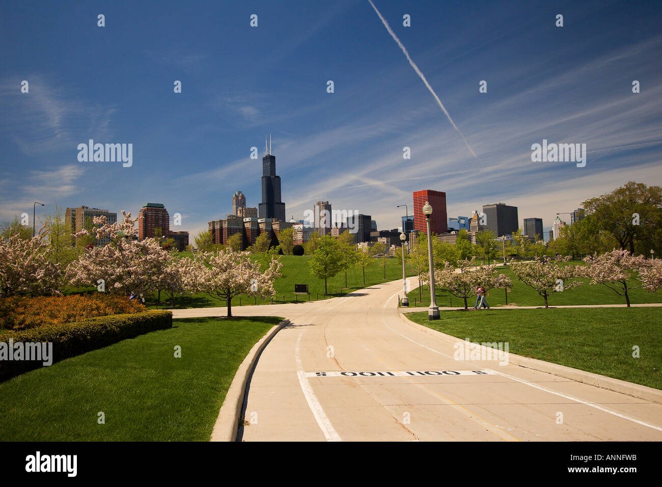 Chicago Skyline including Grant park Stock Photo