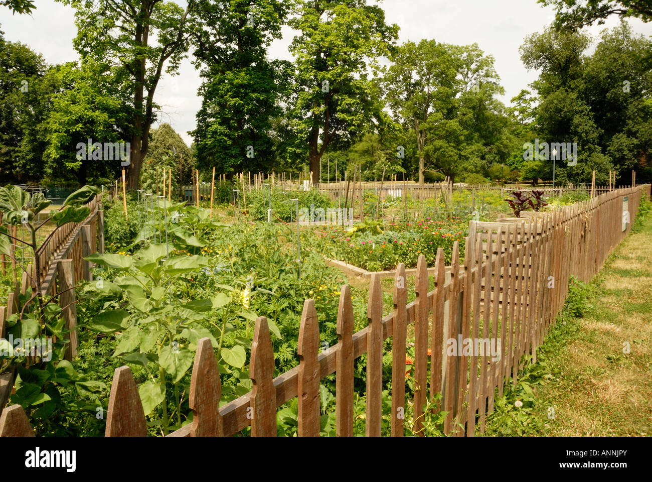 Urban Gardening In Columbus Ohio Stock Photo Alamy