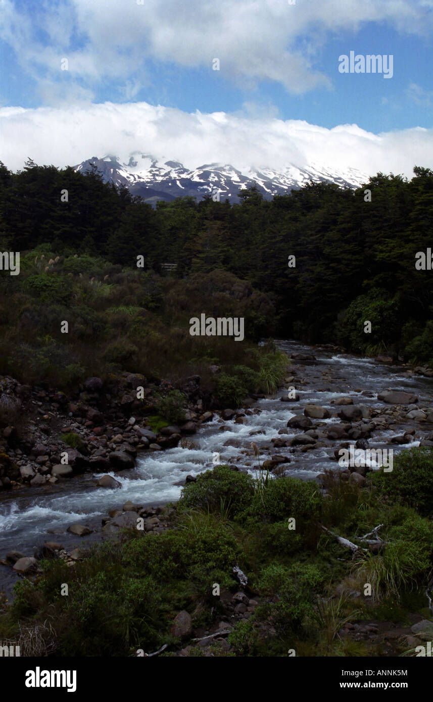Mountain stream, Mount Ruapehu, Tongariro National Park, North Island, New Zealand Stock Photo