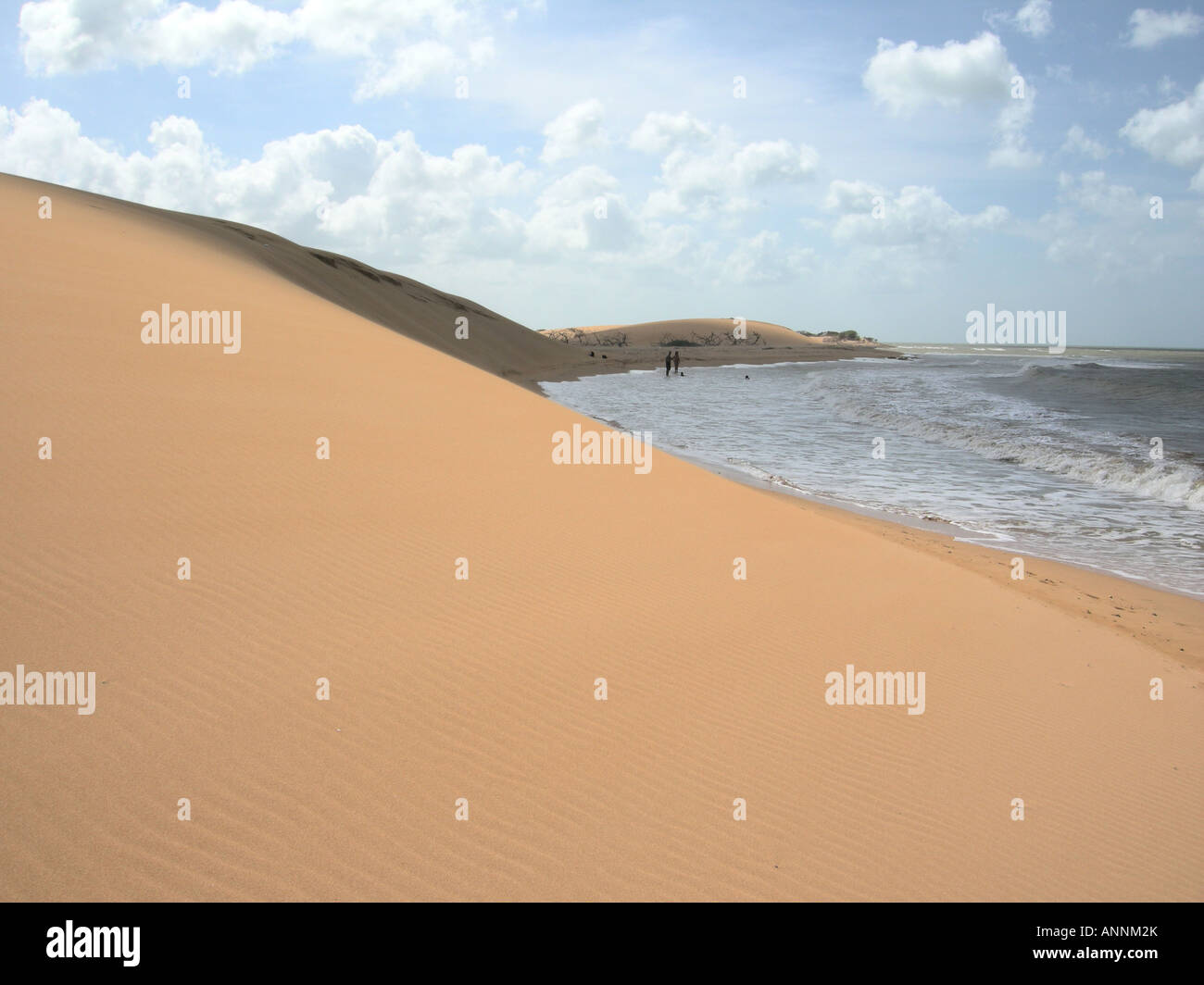 Sand dune beach, Peninsula de paraguana, falcon state, Venezuela Stock Photo