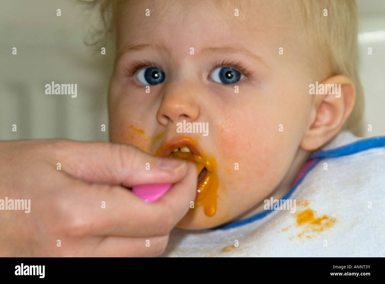 Horizontal close up of a pretty Caucasian baby girl sitting at her high chair being fed tomato mush at dinner time Stock Photo