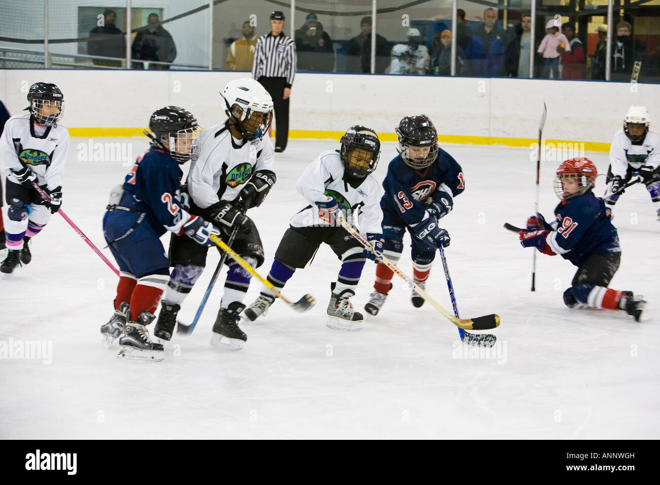 Belfast Giants - USA Sports NHL Pop-Up store is coming