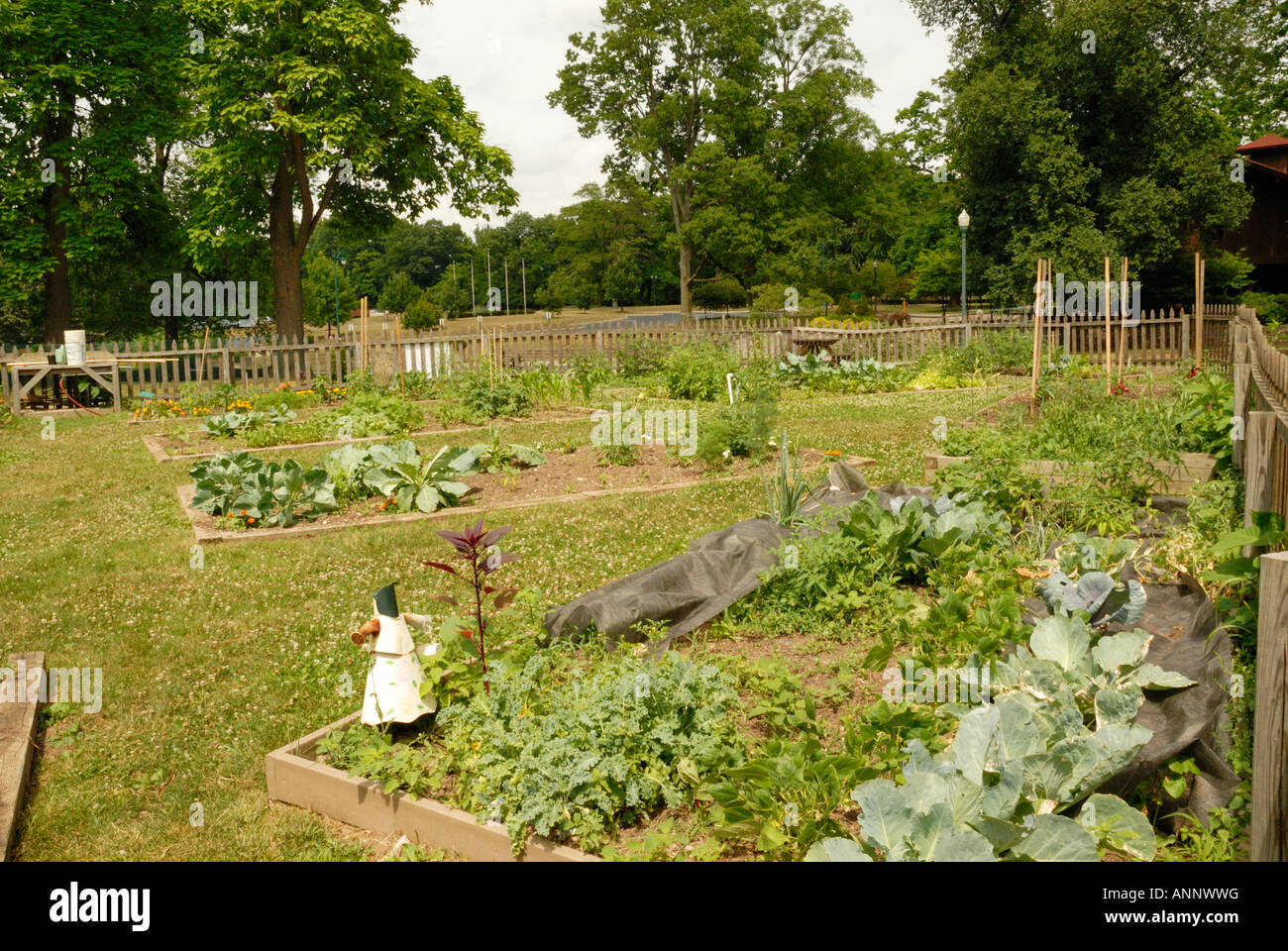 Urban Gardening In Columbus Ohio Stock Photo Alamy