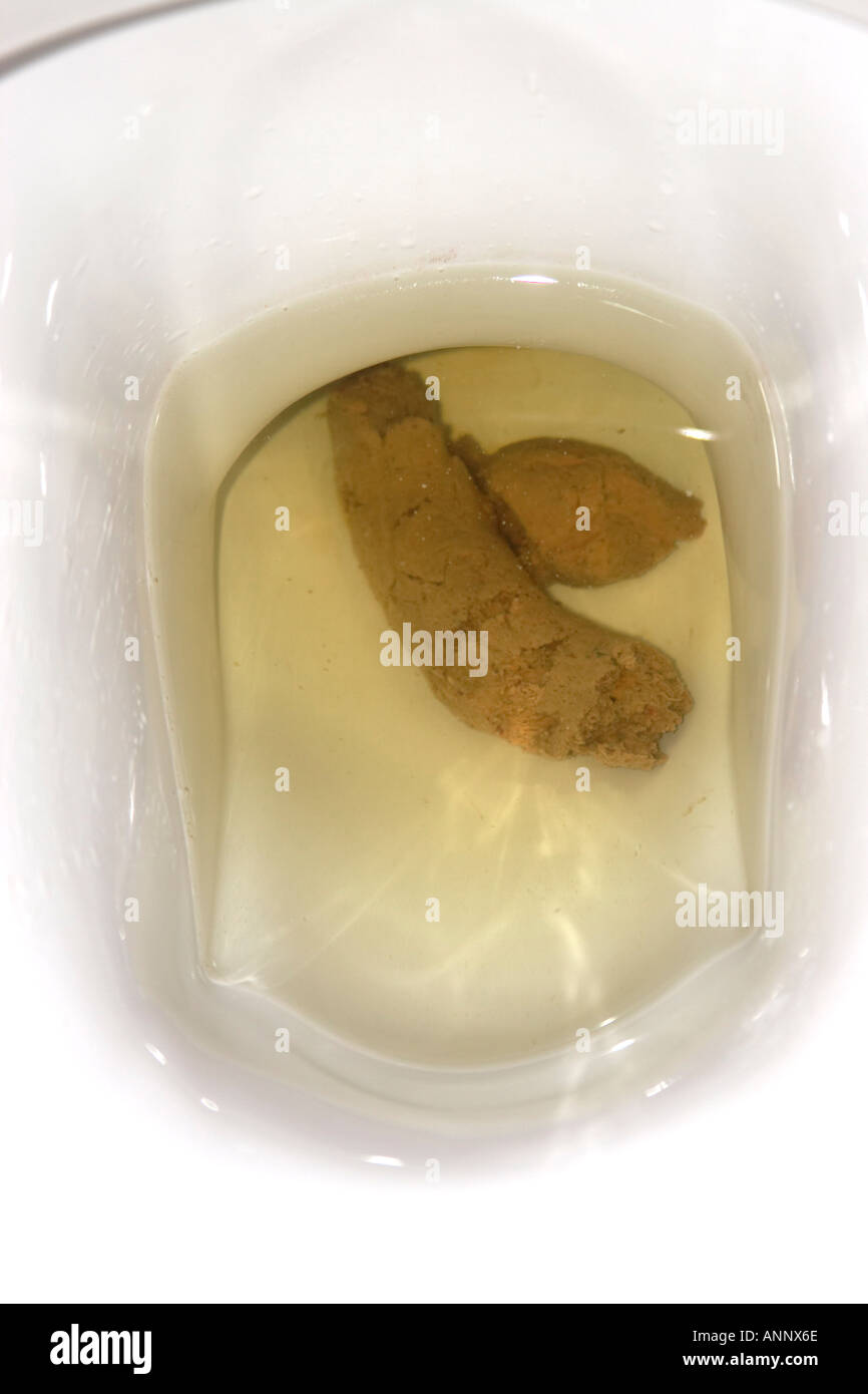 Shit turd poo excrement dump crap stool or faeces in a lavatory bog toilet loo or pan  Stock Photo