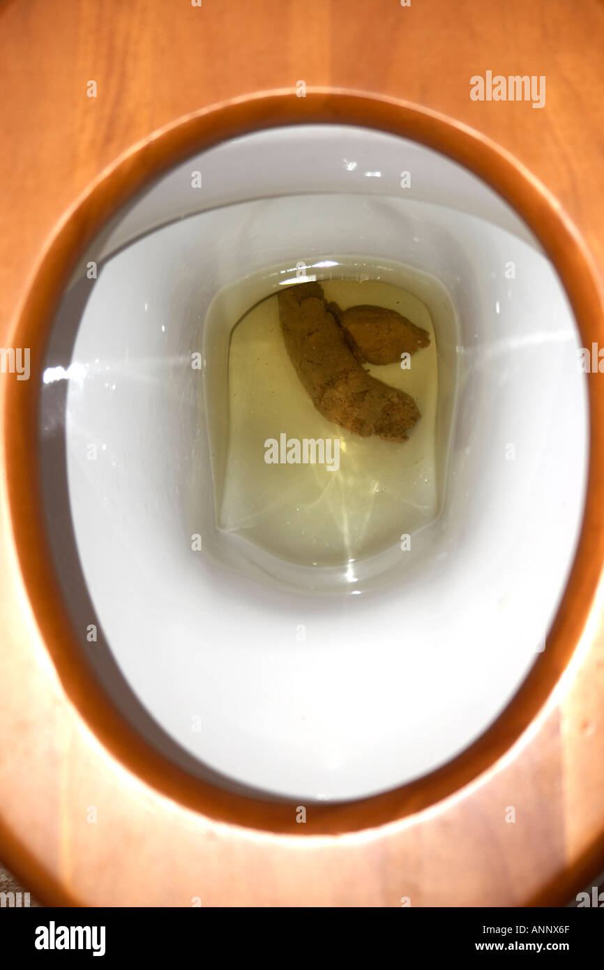 Shit turd poo excrement dump crap stool or faeces in a lavatory bog toilet loo or pan  Stock Photo