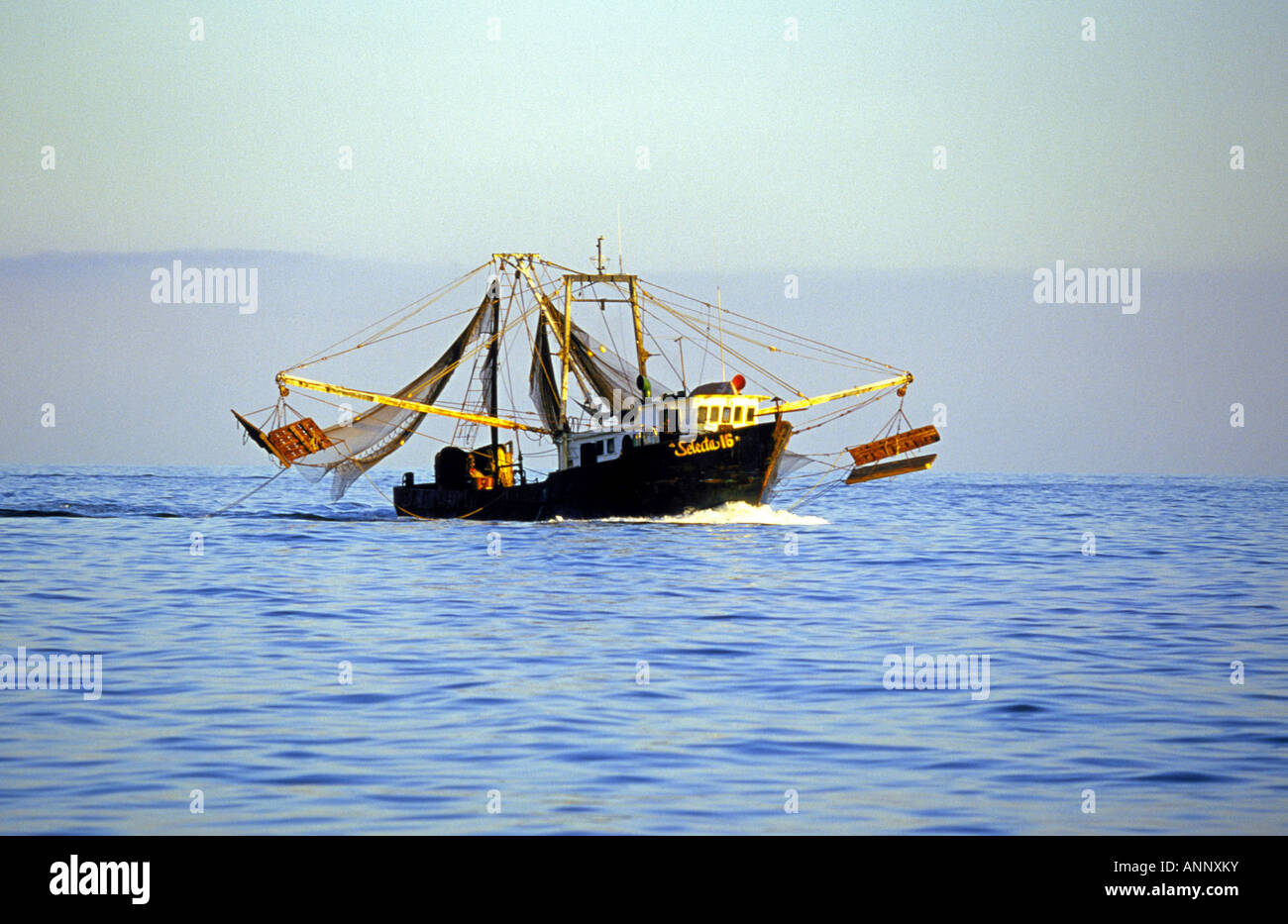 Gulf shrimp net hires stock photography and images Alamy