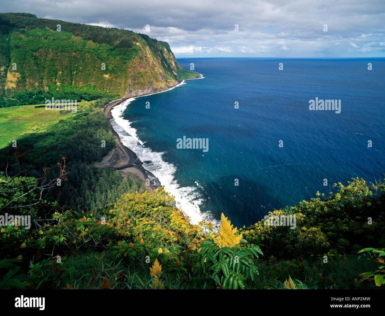Pololu Valley on the big island of Hawaii is a popular hike for nature