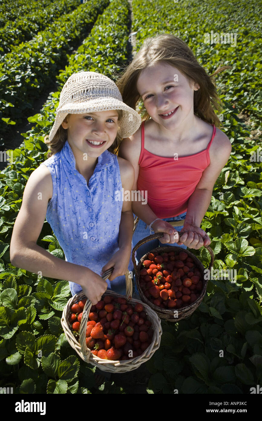 Portrait of two girls with baskets of strawberries on a field Stock ...
