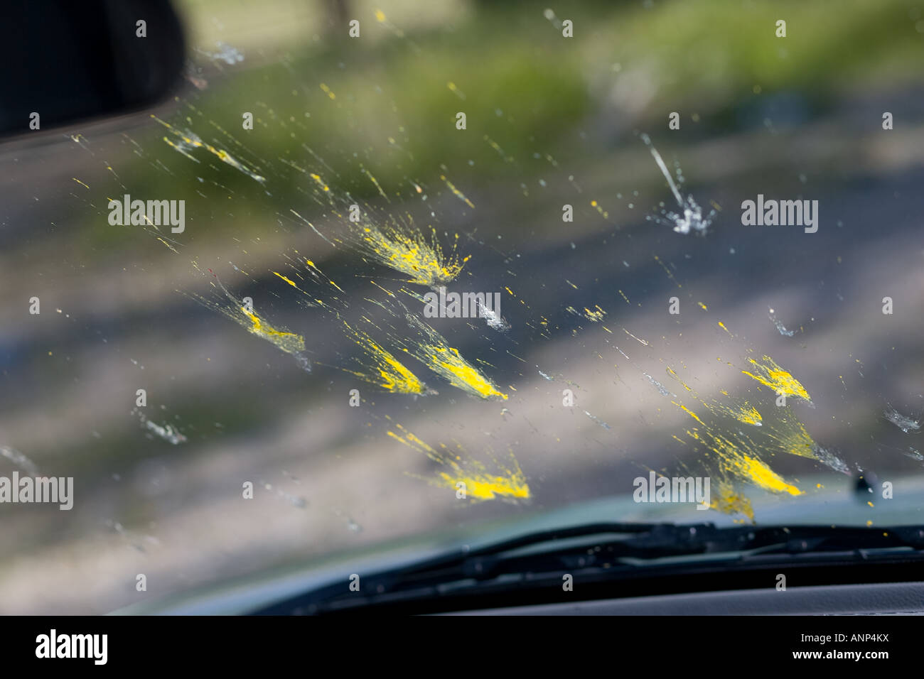 Dead bugs are splattered all over the windshield of a car during a road trip Stock Photo