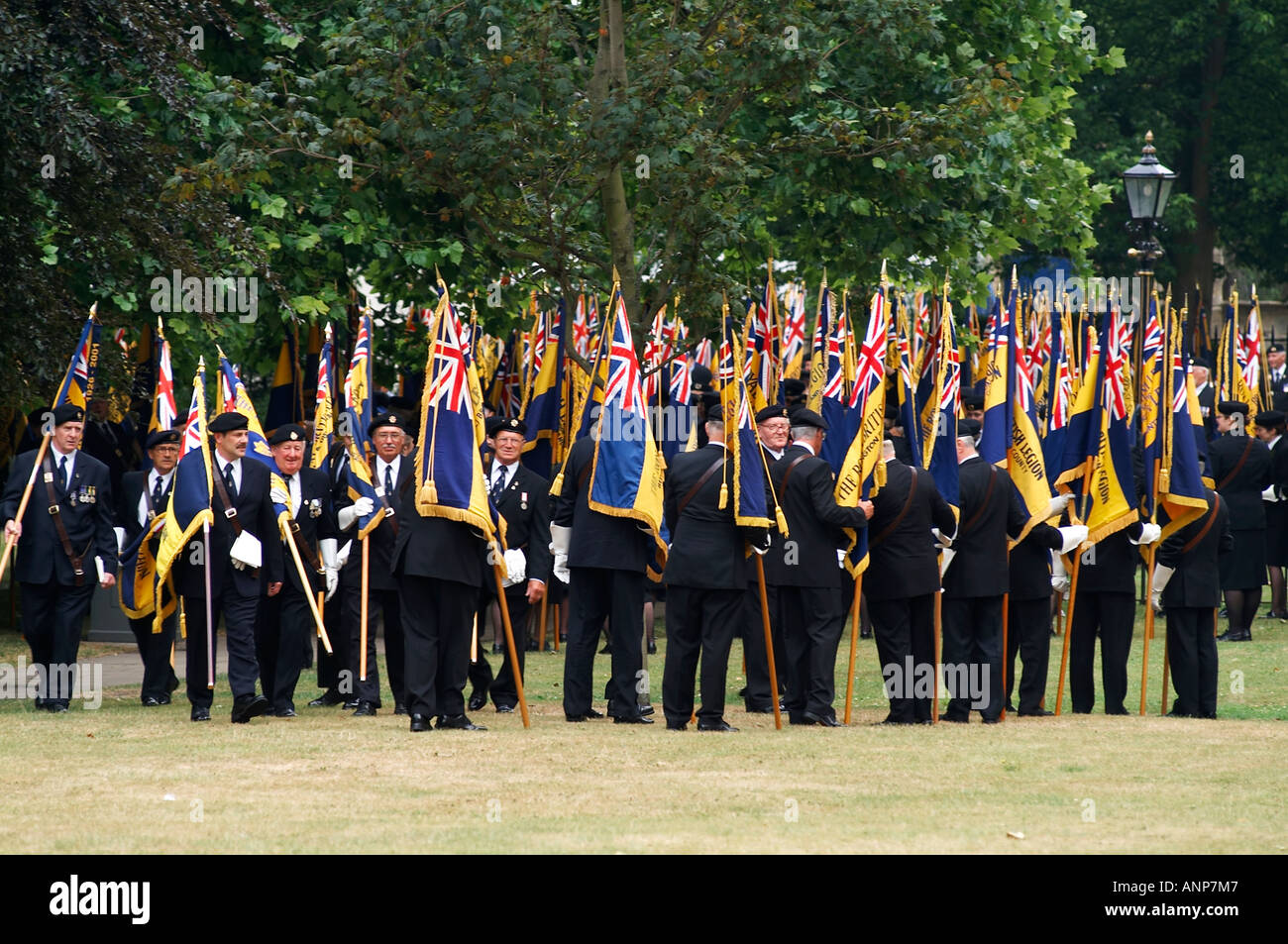 Royal, British, legion, standard, bearers, flag, remembrance, Sunday