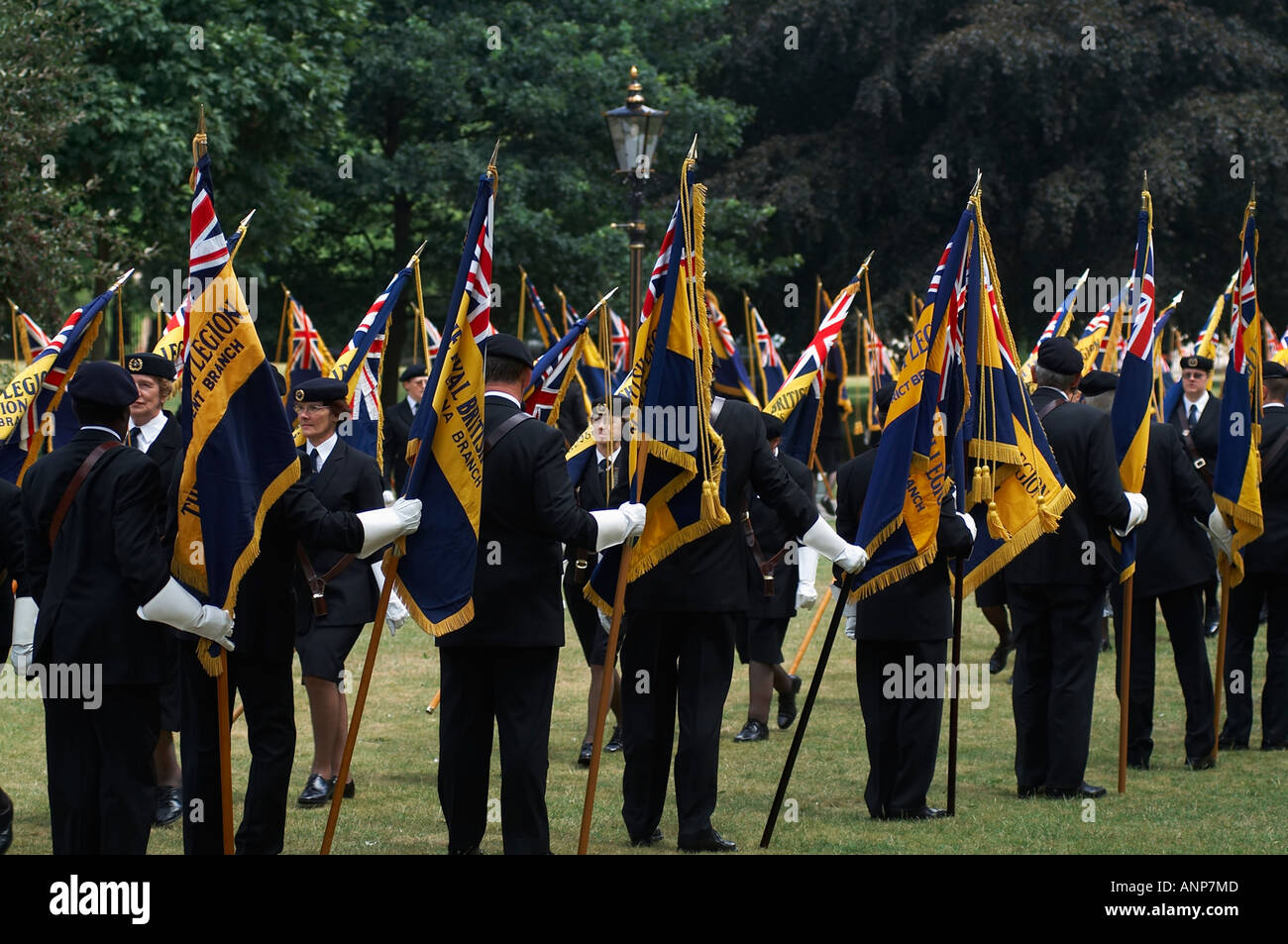 Royal, British, legion, standard, bearers, flag, remembrance, Sunday