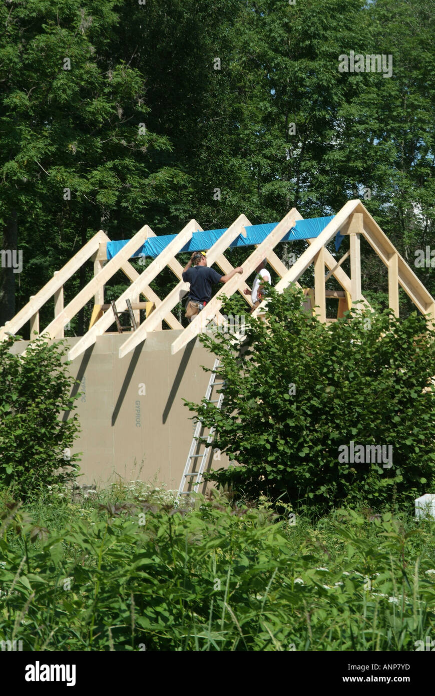 Stunning Cavity Wall Construction For Energy Efficiency In Scandinavian Small Homes image