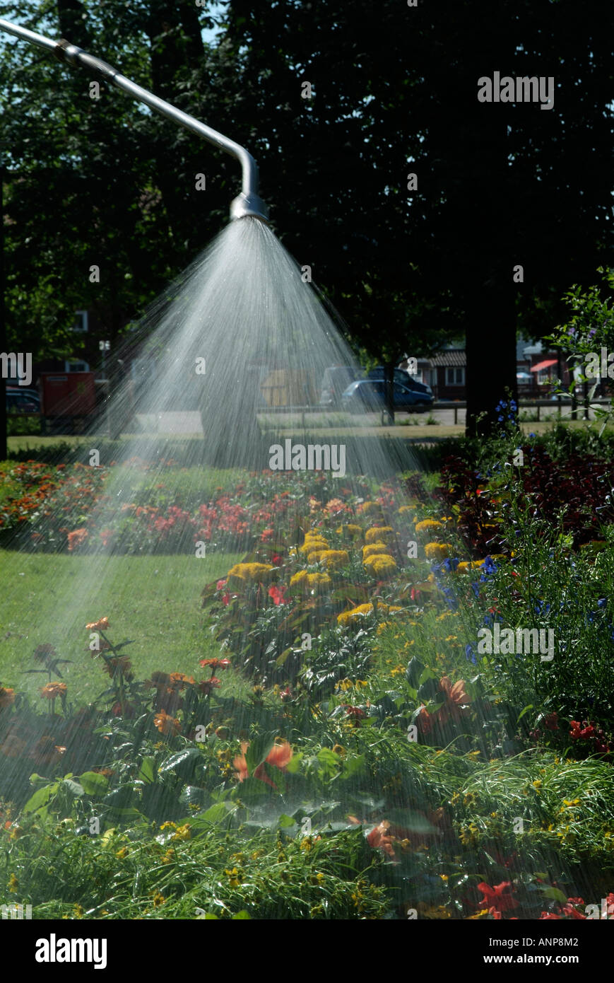 Hosing ban hires stock photography and images Alamy