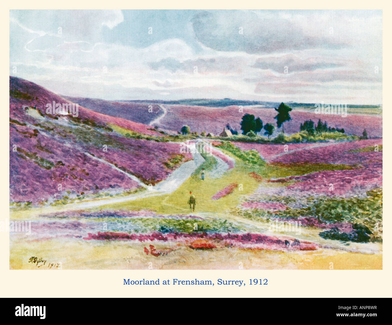 Moorland at Frensham 1912 watercolour of the West Surrey landscape heather in bloom Stock Photo