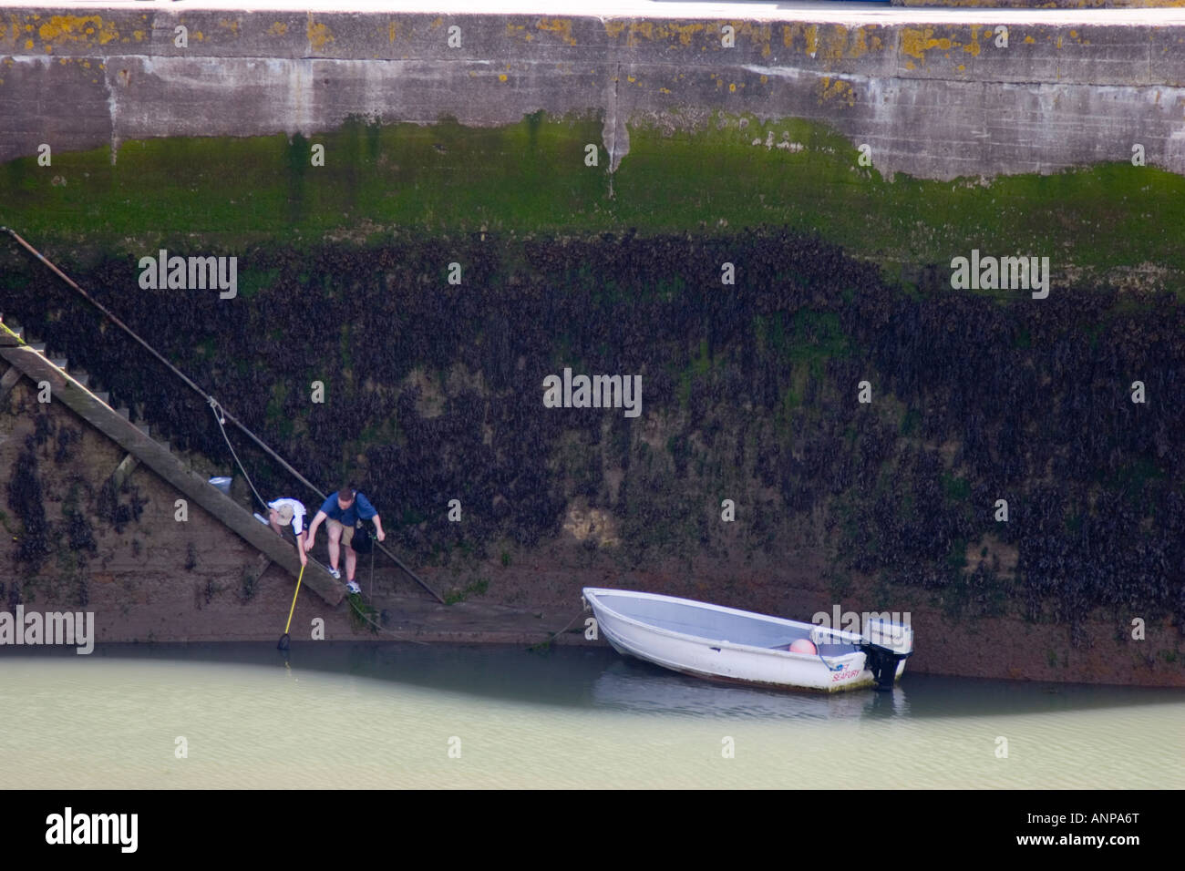 Crabbing on the steps of Padstow harbour in north Cornwall Stock Photo Alamy