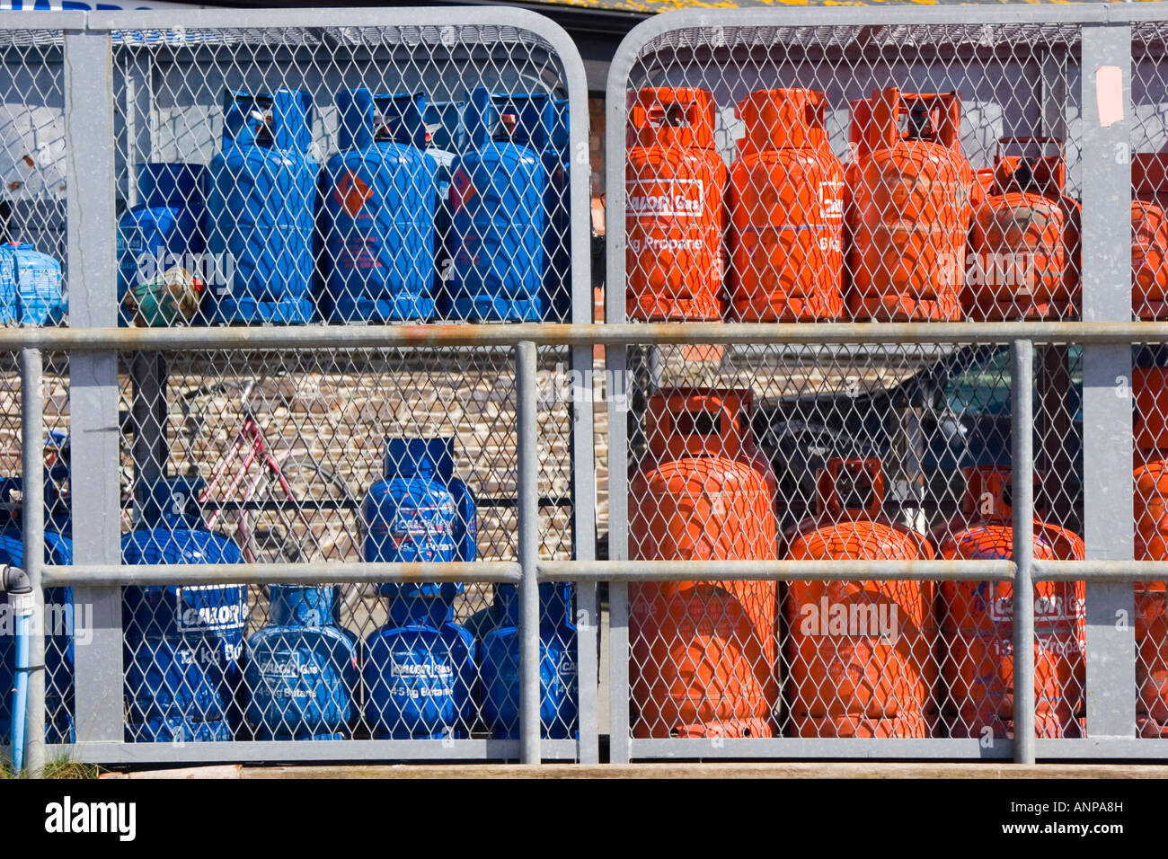 Storage of red and blue Calor Gas bottles Stock Photo Alamy
