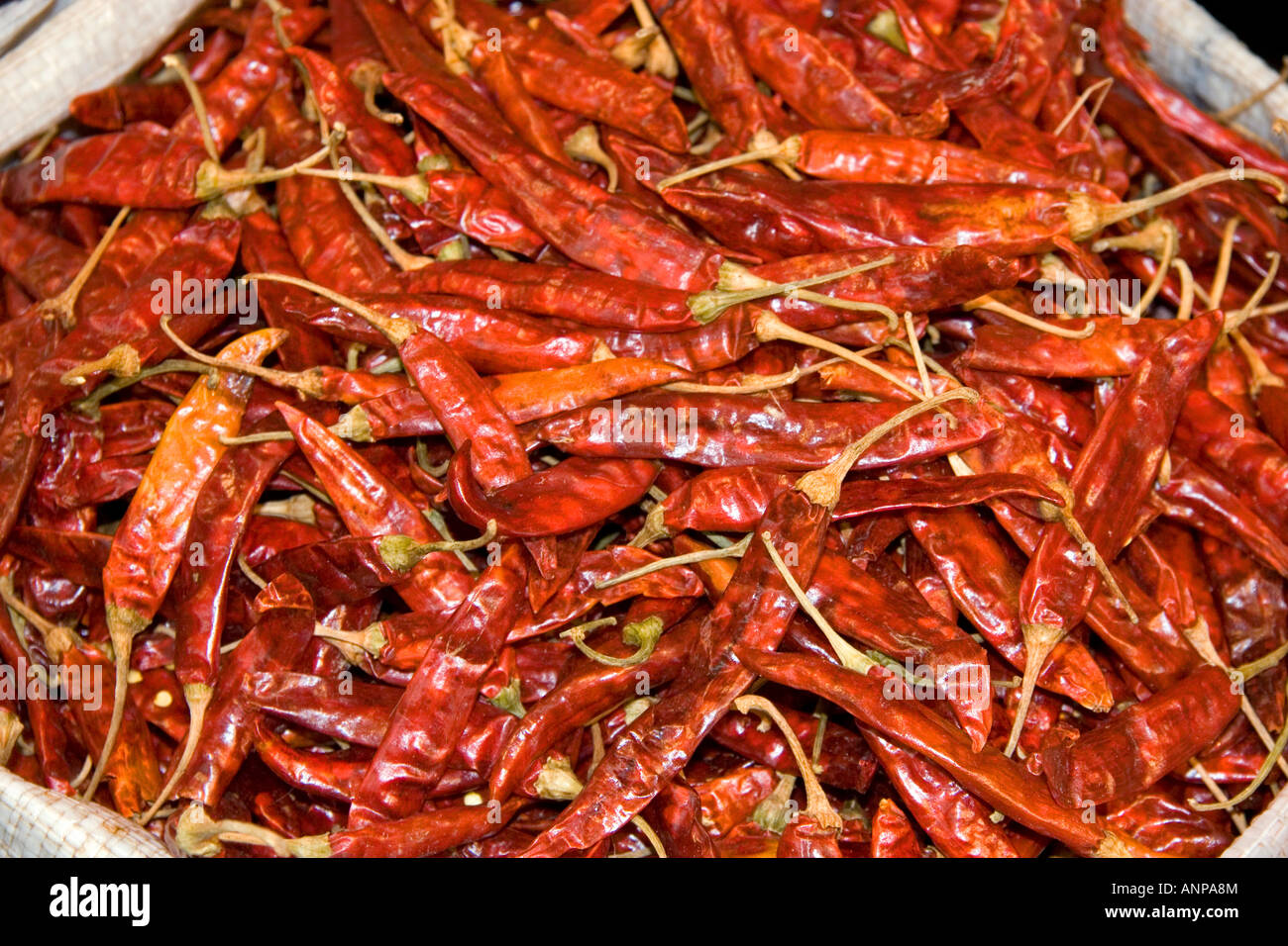 Dried chili peppers on sale at the Merced Market in Mexico City Mexico
