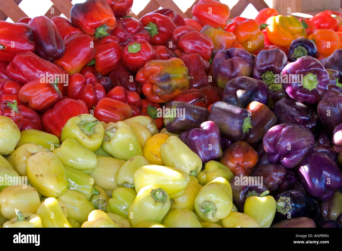 Farmers market vegetable stand hires stock photography and images Alamy