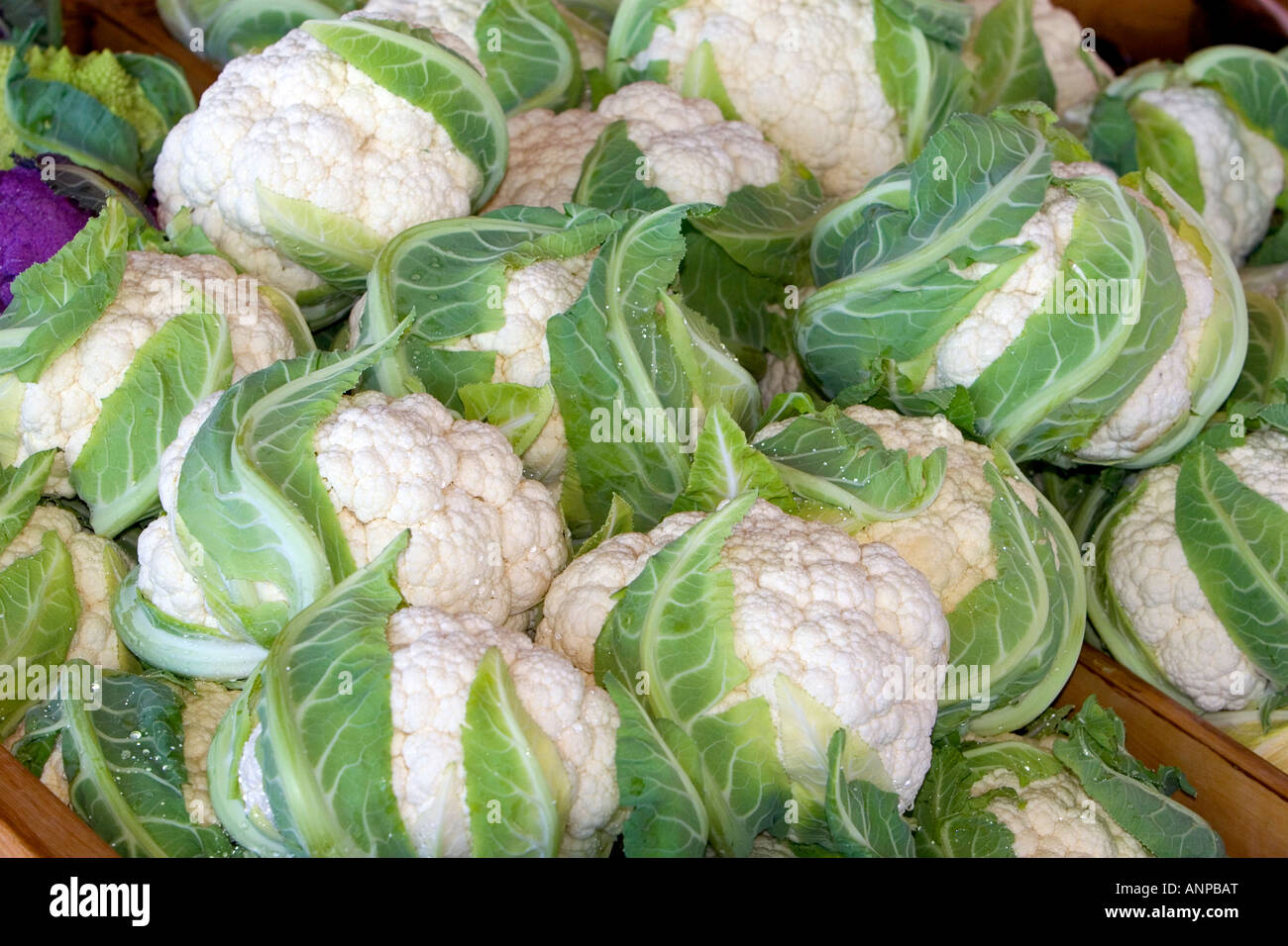 Farmers market vegetable stand hires stock photography and images Alamy