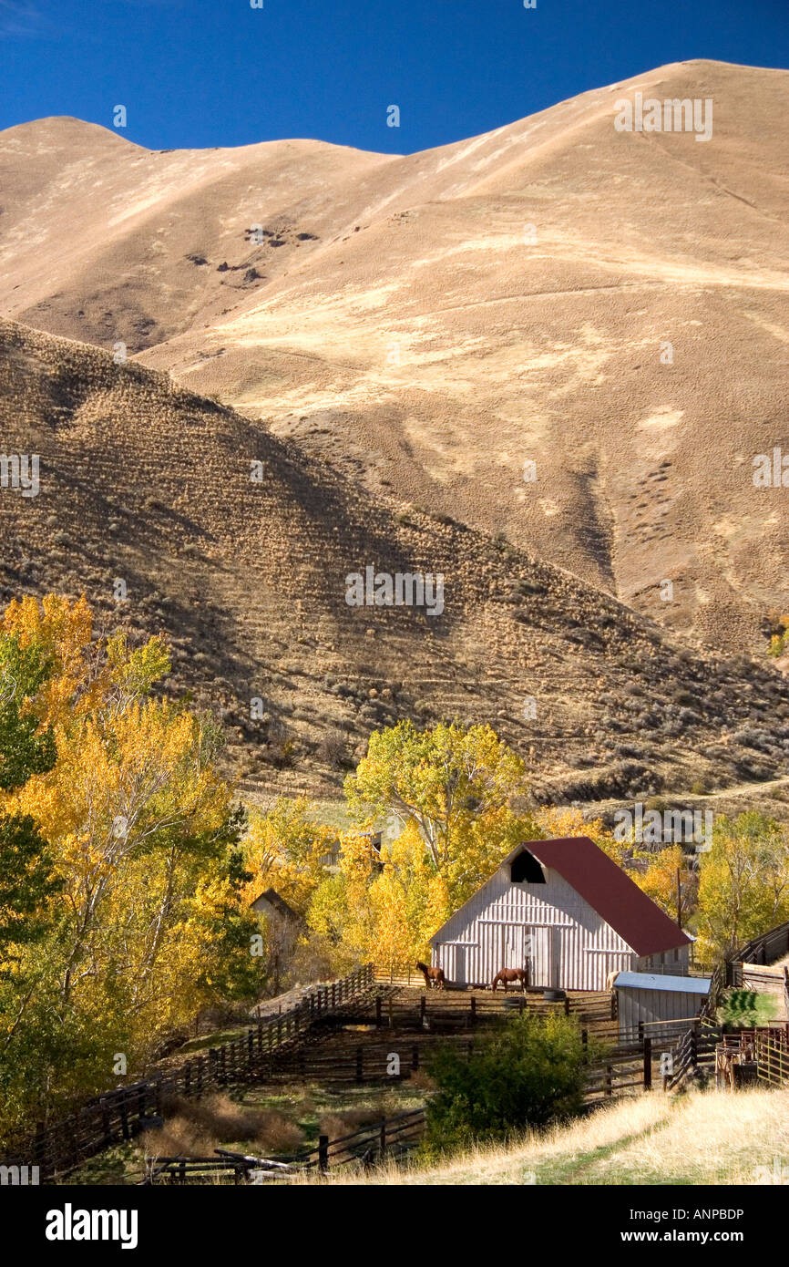 Horse corral and barn near Cambridge Idaho Stock Photo Alamy
