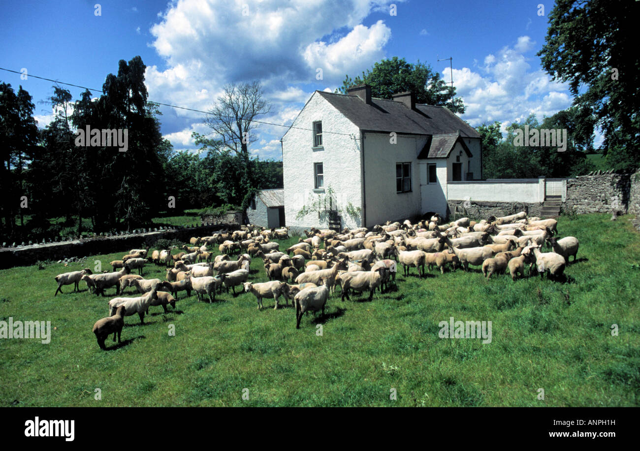 Portumna Co Galway Ireland Stock Photo Alamy