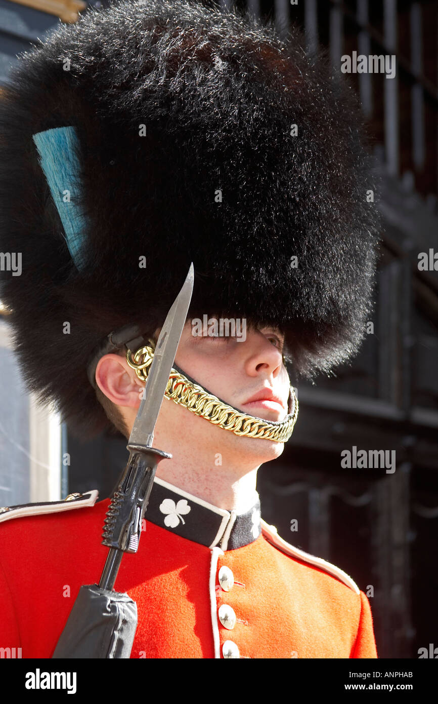 Guardsman soldier of Irish Guards on guard with fixed bayonet on rifle ...