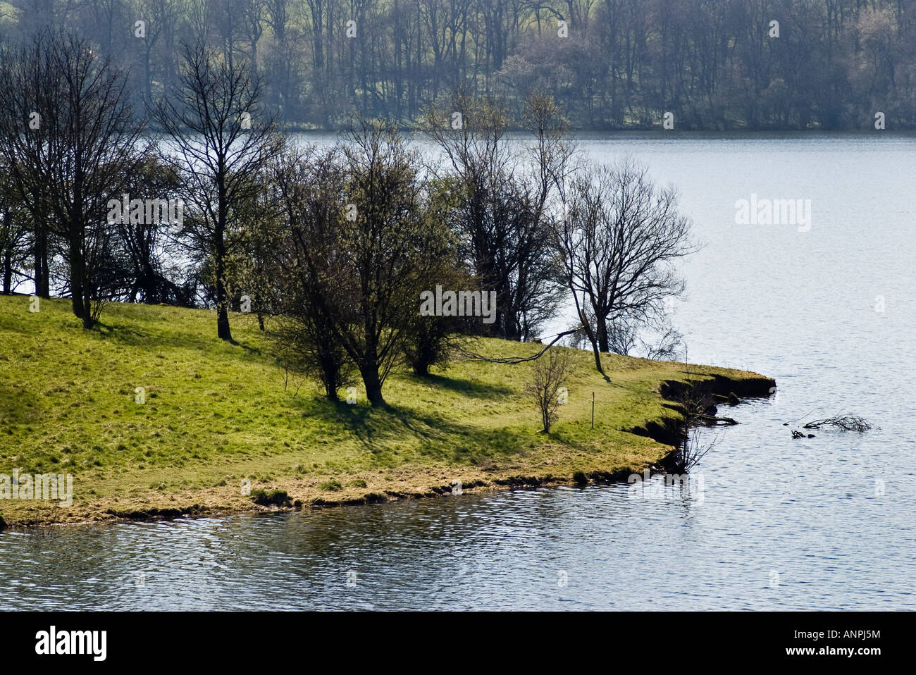 Spring In Rutland Rutland Water in early spring Stock Photo - Alamy