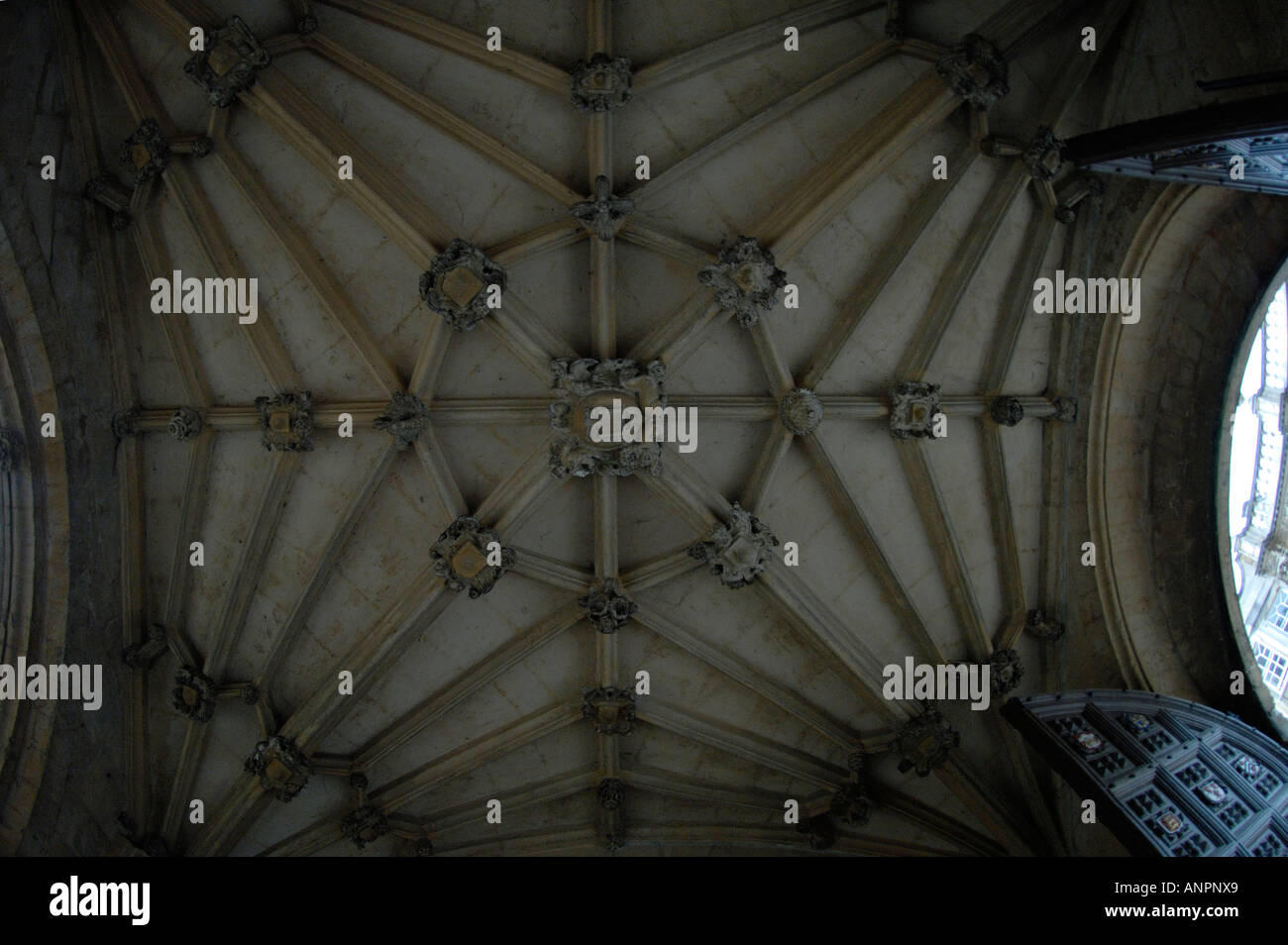 Decorative ceiling at entrance to Oxford University Bodleian Library ...