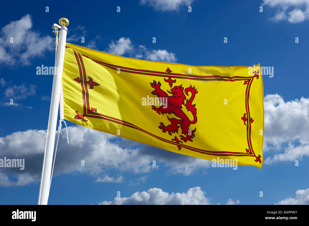 SCOTTISH  NATIONAL FLAG Stock Photo