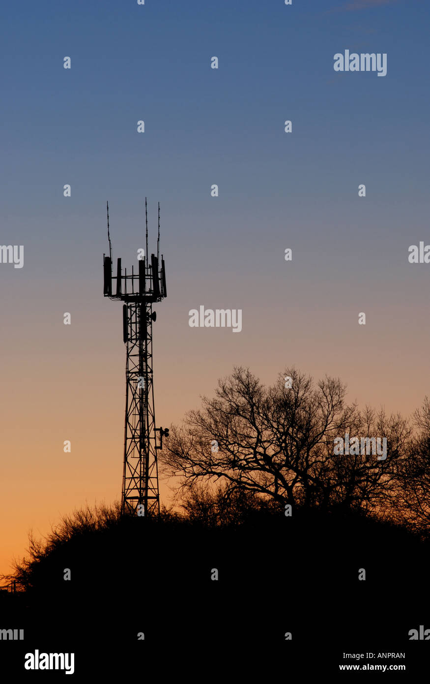 Mobile phone mast countryside trees hires stock photography and images