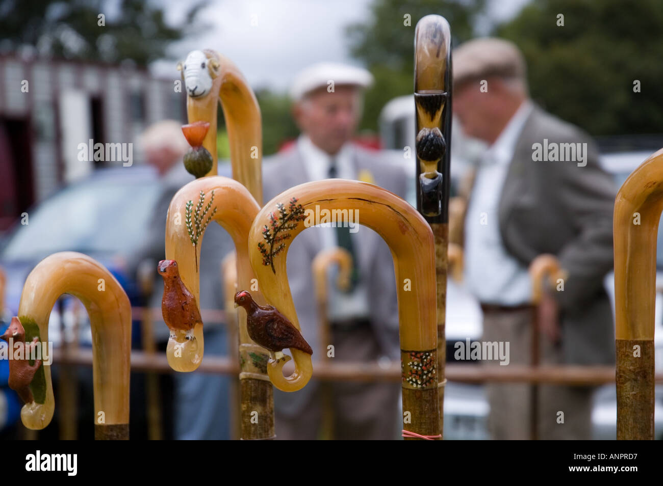 Shepherds crooks hi-res stock photography and images - Alamy