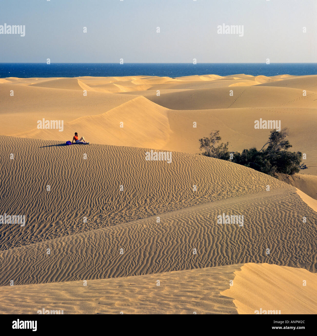 MASPALOMAS DUNES Solitary figure relaxes on the Maspalomas sand dunes Gran Canaria Canary Islands Spain Stock Photo