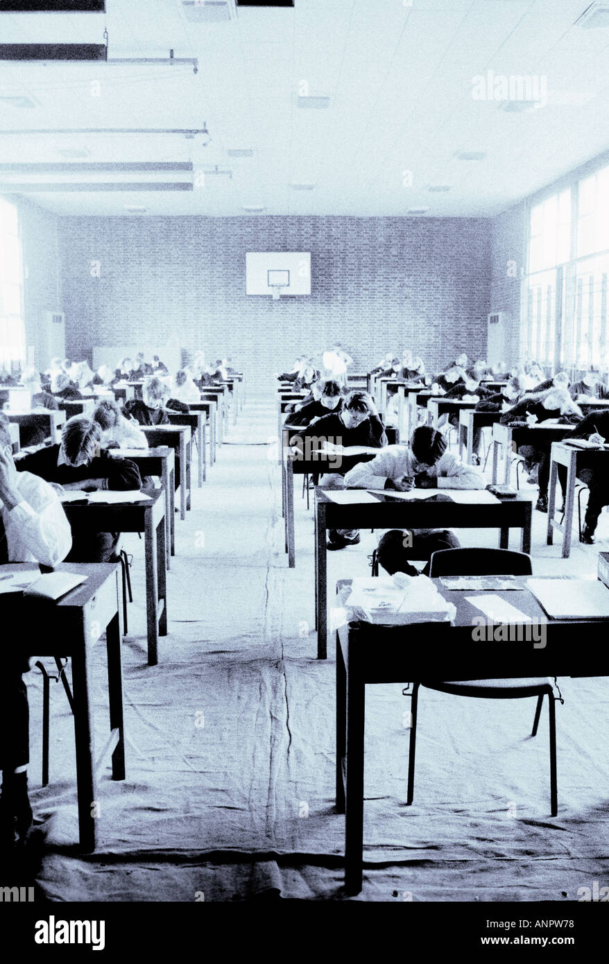 Examination hall full of students Stock Photo - Alamy