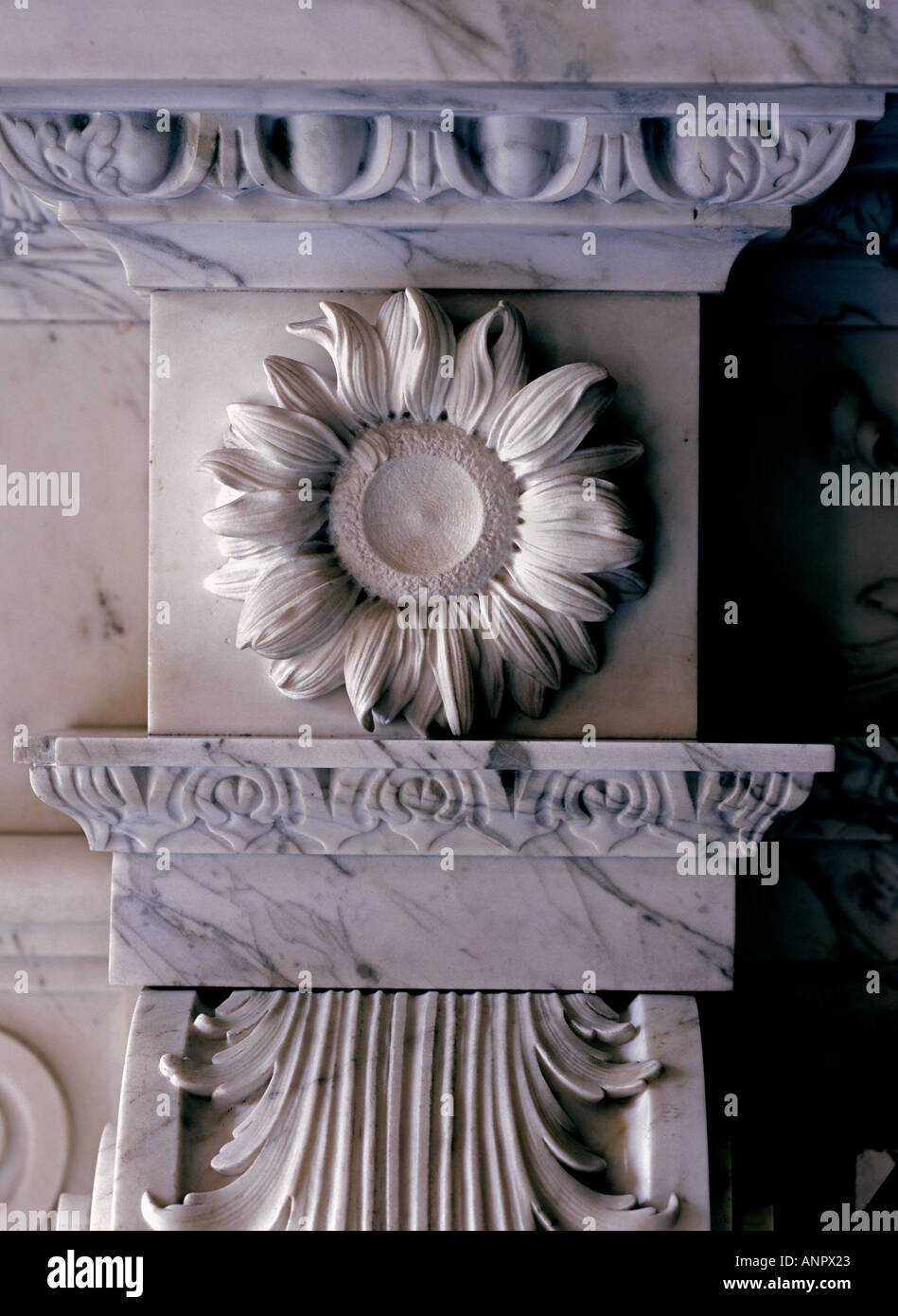 Detail of carved sunflower in marble on 17th Century fireplace Stock Photo
