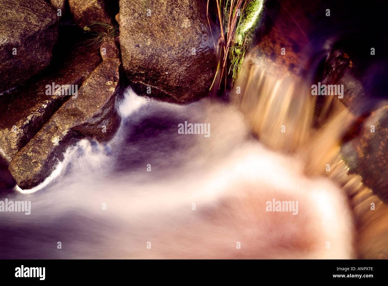 close up stream detail Stock Photo - Alamy