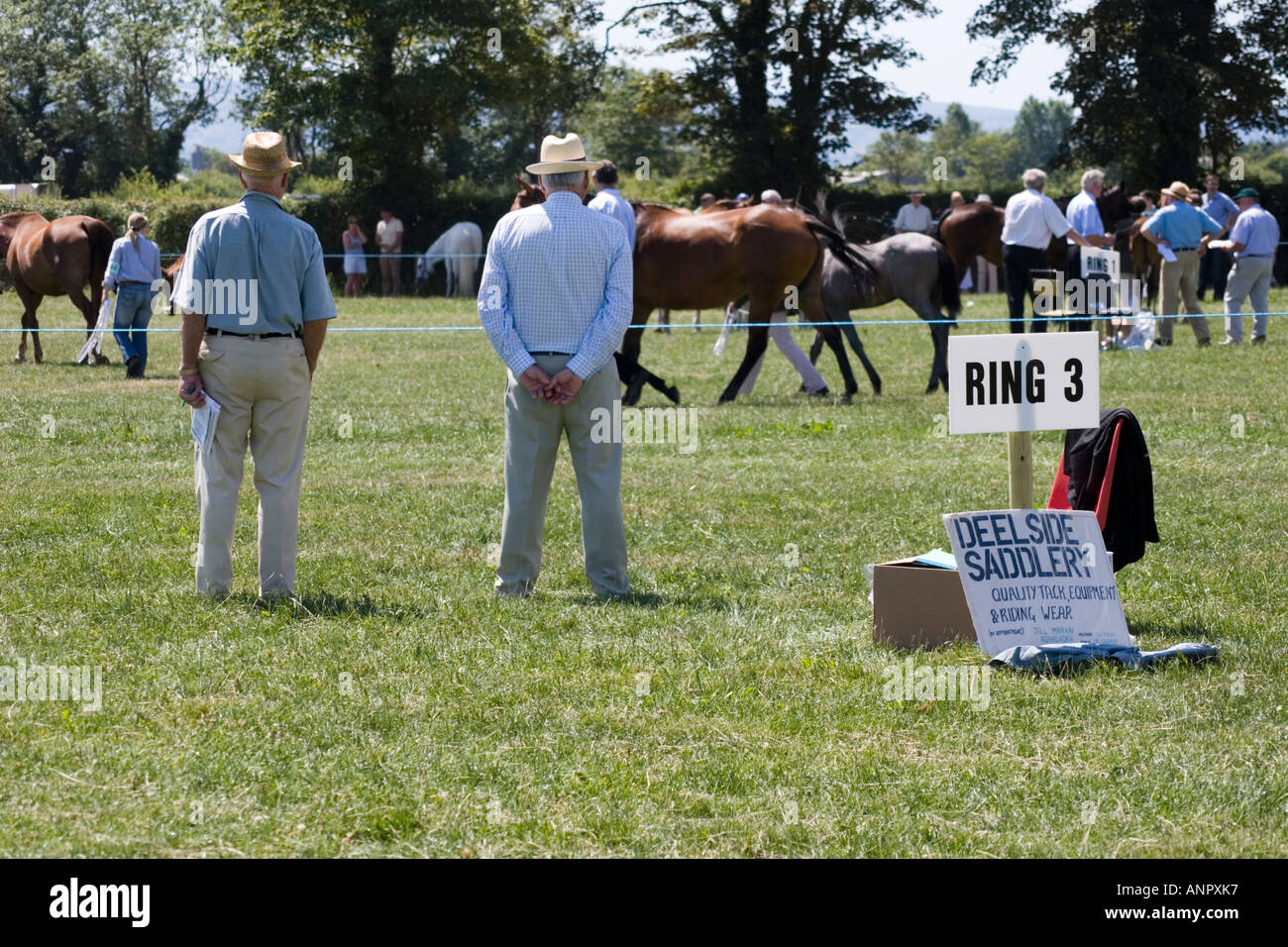 Judging horse hires stock photography and images Alamy