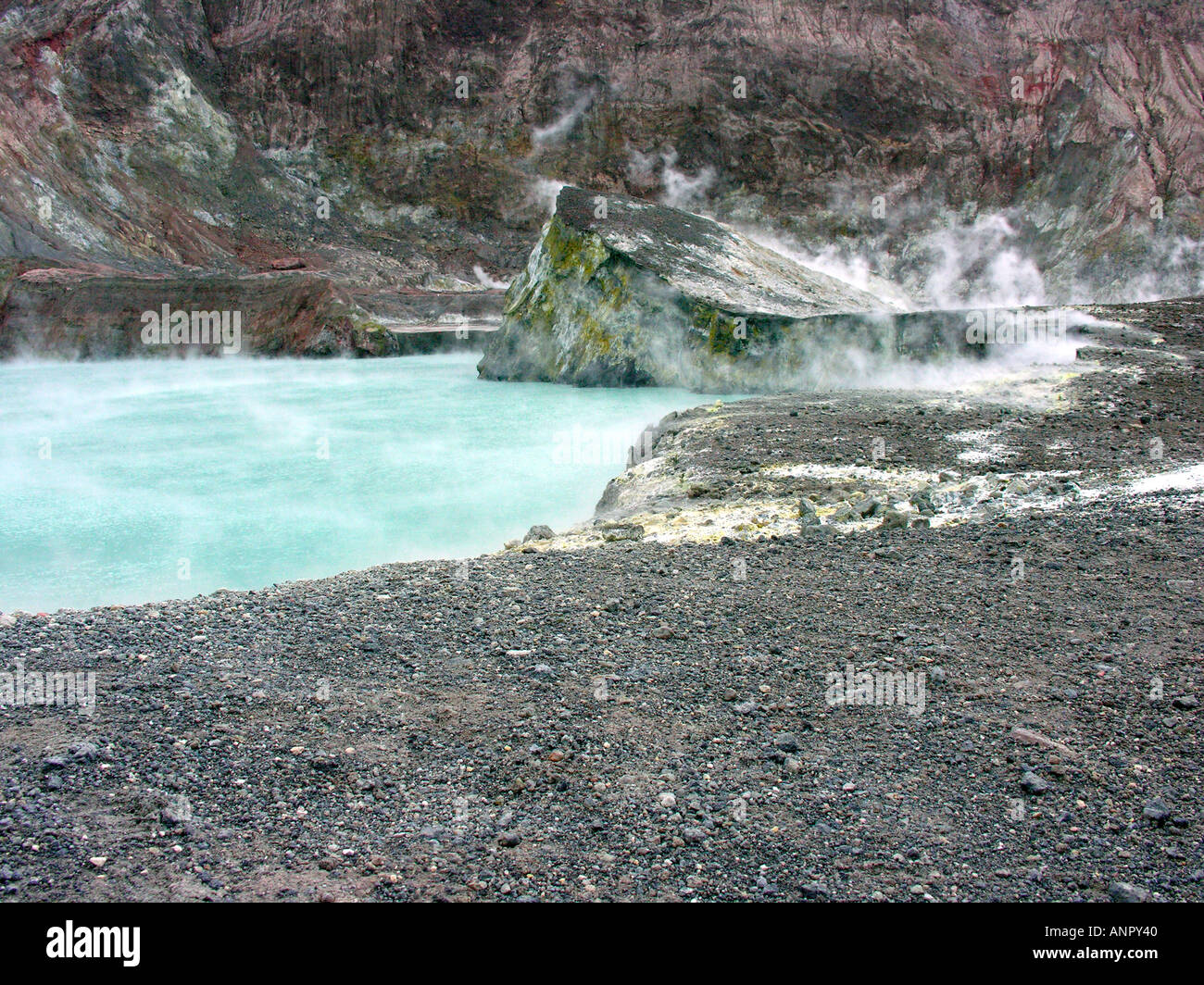 White Island Tour off the coast of Whakatane New Zealand NZ only active marine volcano Stock