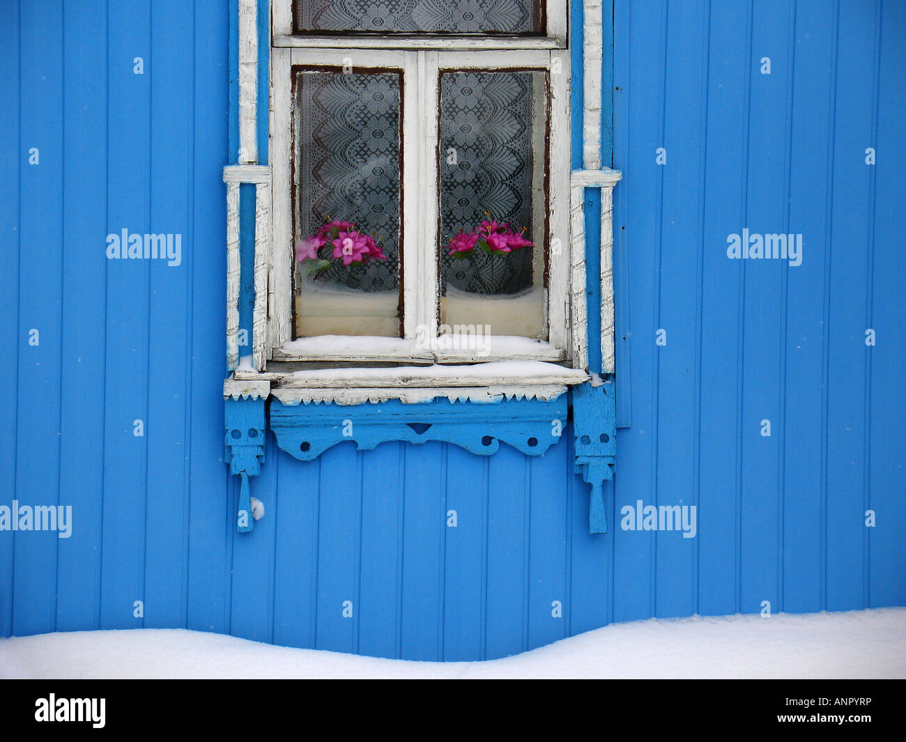 Russian Blue Painted Wooden Village House Details With Traditional Window Decoration And Plastic Pink Flowers Muranovo Village Moscow Region Russia Stock Photo Alamy