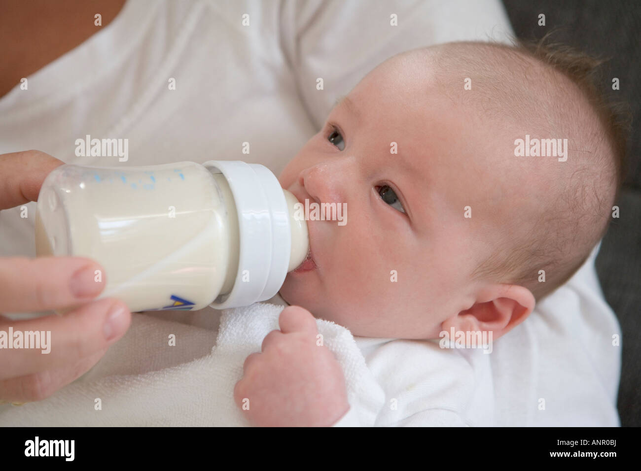 Baby gets bottle feeding Stock Photo Alamy