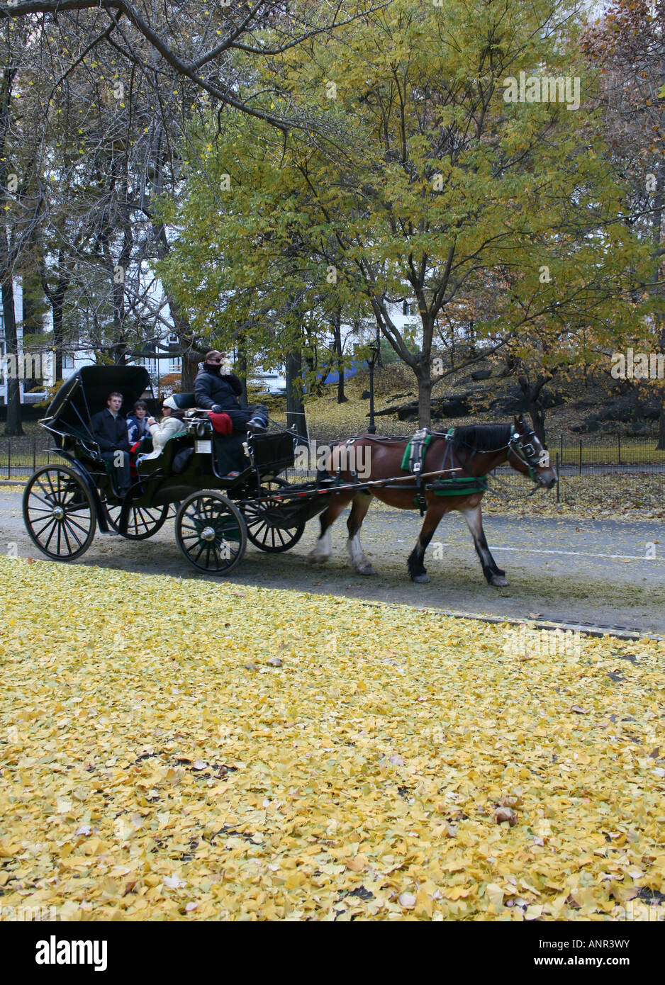 New york city horse drawn hi-res stock photography and images - Alamy