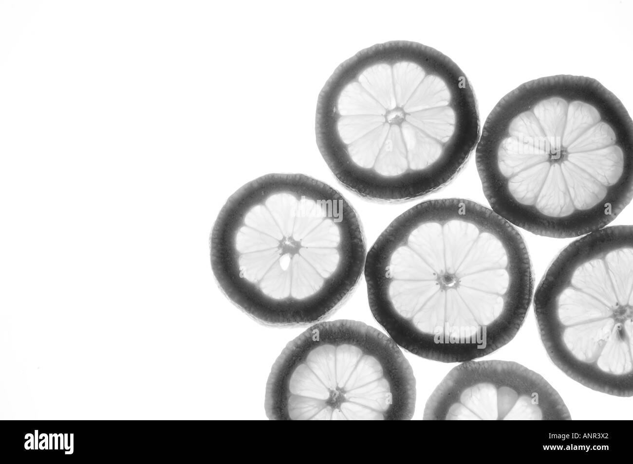 Circular lemon slice Black and White Stock Photos & Images - Alamy