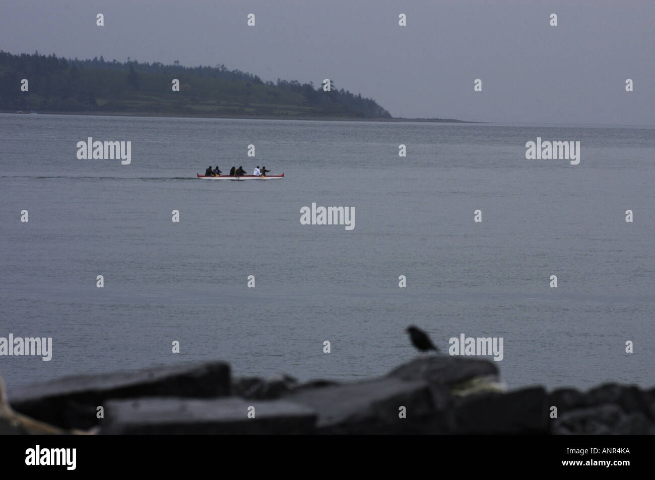 Lummi island kayak hires stock photography and images Alamy