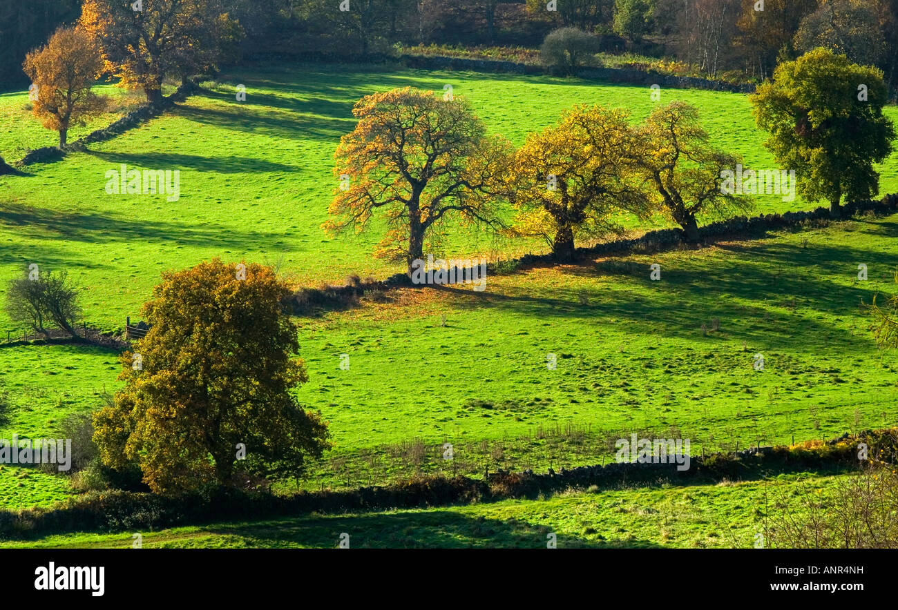 Cratcliffe rocks peak district hi-res stock photography and images - Alamy