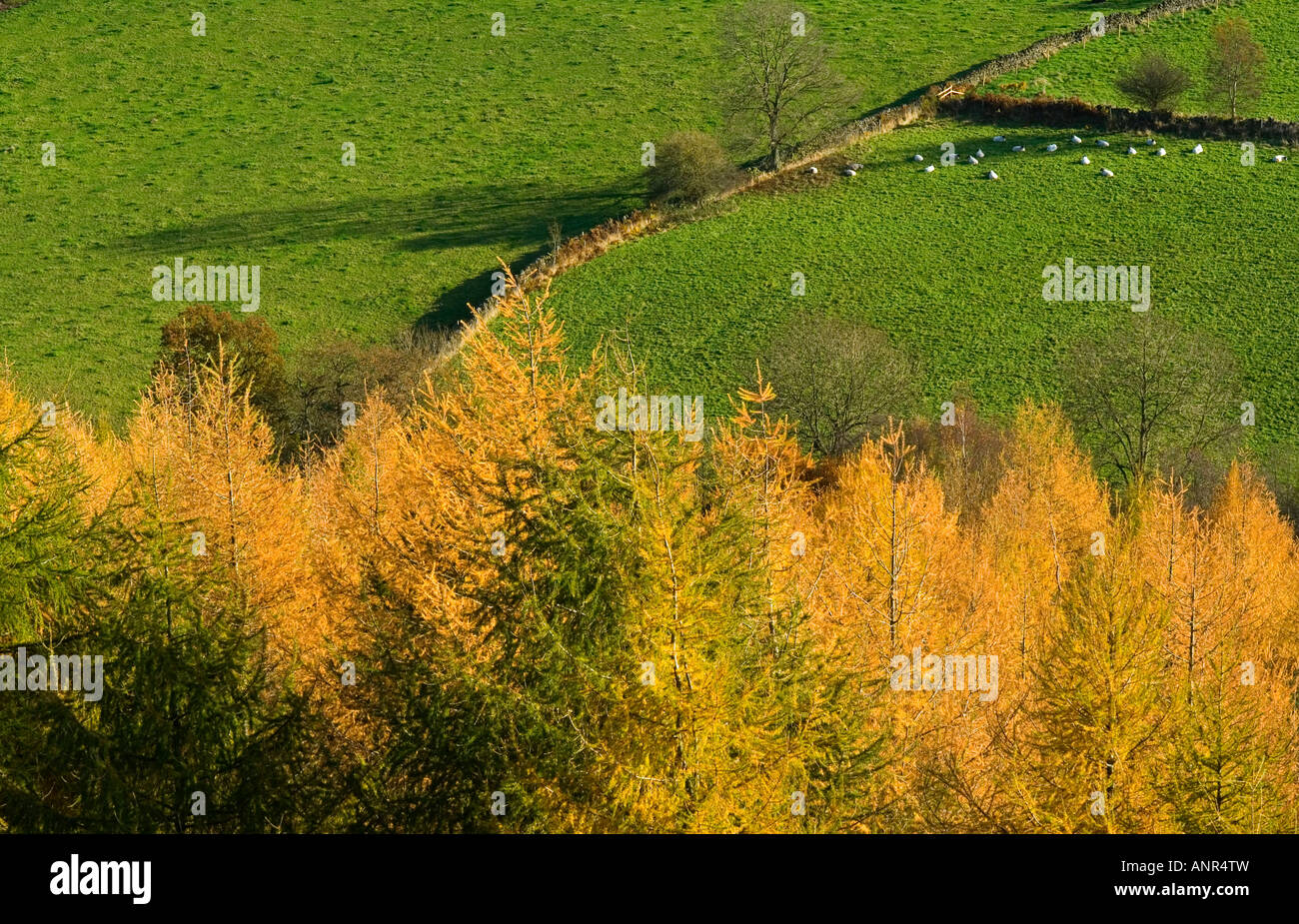 Cratcliffe rocks peak district hi-res stock photography and images - Alamy