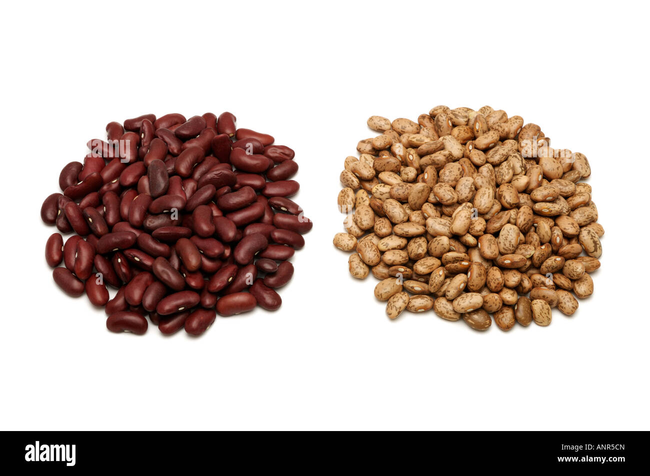 Kidney pinto beans Stock Photo Alamy