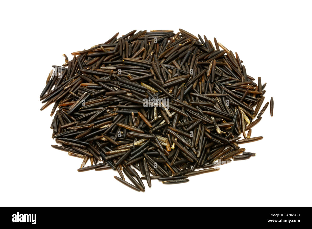 Canadian wild rice hires stock photography and images Alamy
