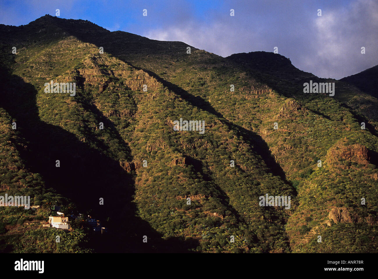 Masca massif TENERIFE ISLAND Canary Islands SPAIN Stock Photo