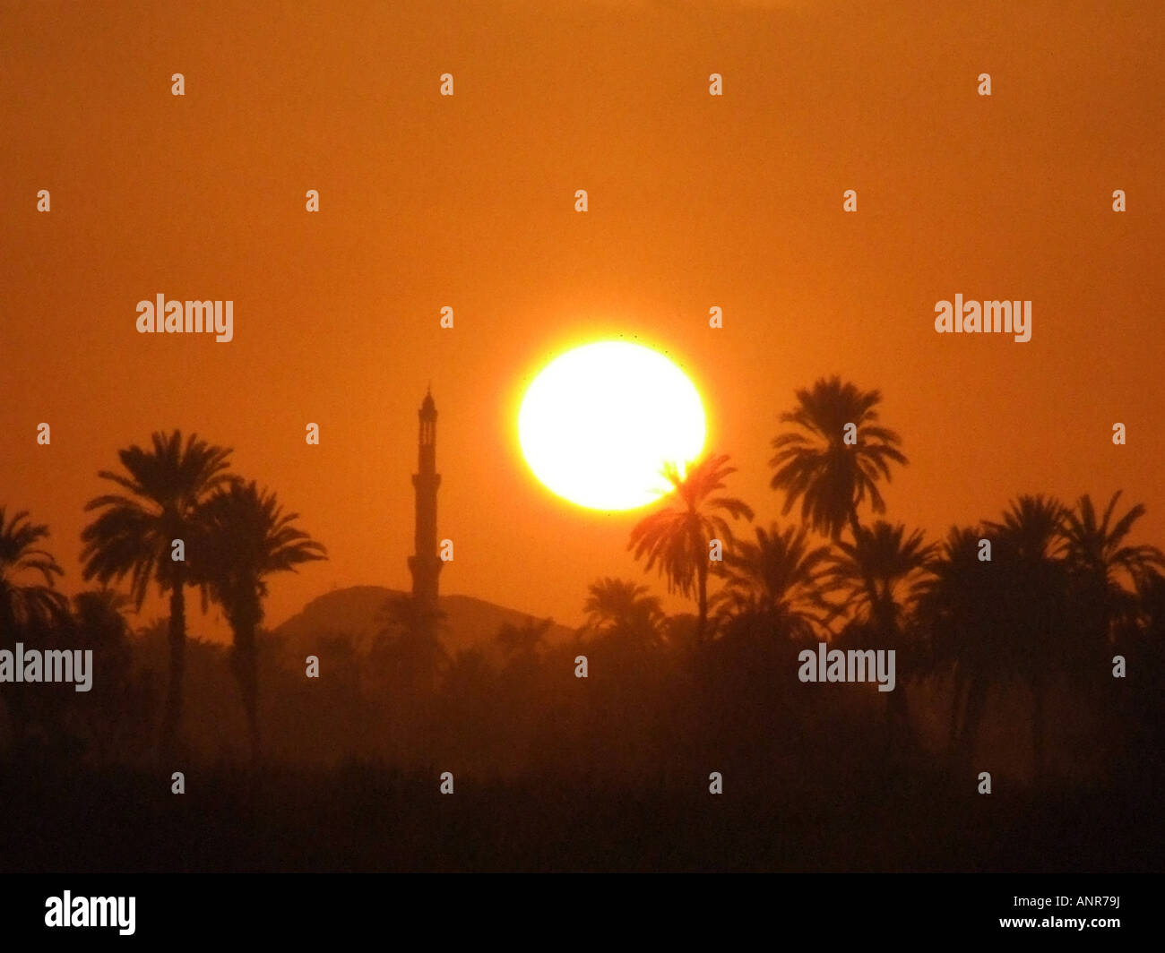 Egypt Luxor Sunset/temple/palm trees Stock Photo