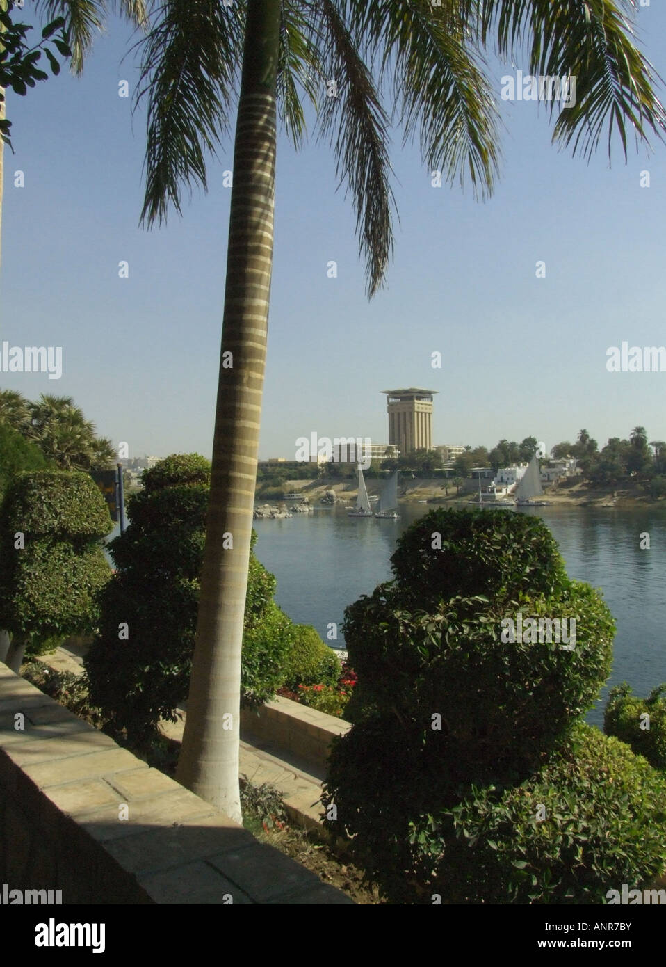 Aswan, Egypt, 'river scene'.palms green shrubs historical 'tranquill scene' Stock Photo
